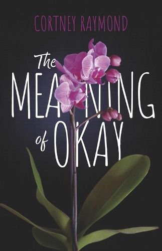 Cover image for The Meaning of Okay