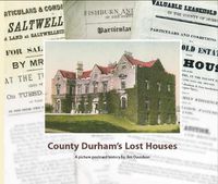 Cover image for County Durham's Lost Houses: A Picture Postcard History