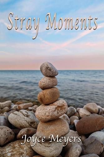 Cover image for Stray Moments