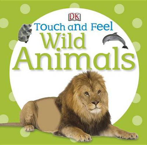 Cover image for Touch and Feel: Wild Animals