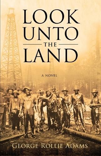 Cover image for Look Unto the Land