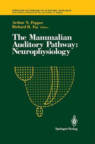 Cover image for The Mammalian Auditory Pathway: Neurophysiology