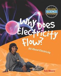 Cover image for Why Does Electricity Flow?: All about Electricity