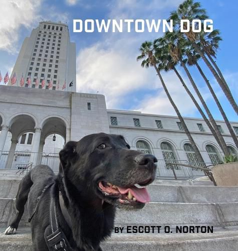 Cover image for Downtown Dog