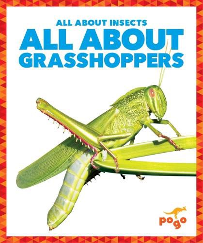 Cover image for All about Grasshoppers