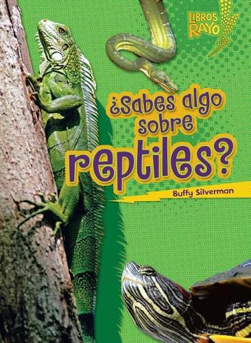 Cover image for ?Sabes Algo Sobre Reptiles? (Do You Know about Reptiles?)