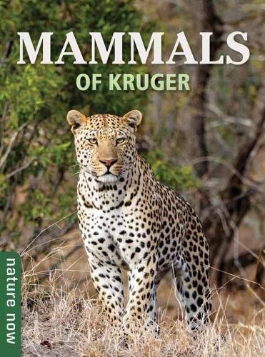 Cover image for Mammals of Kruger