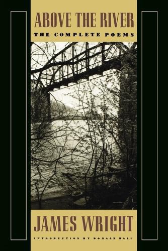 Cover image for Above the River: The Complete Poems