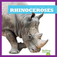 Cover image for Rhinoceroses