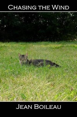 Cover image for Chasing the Wind