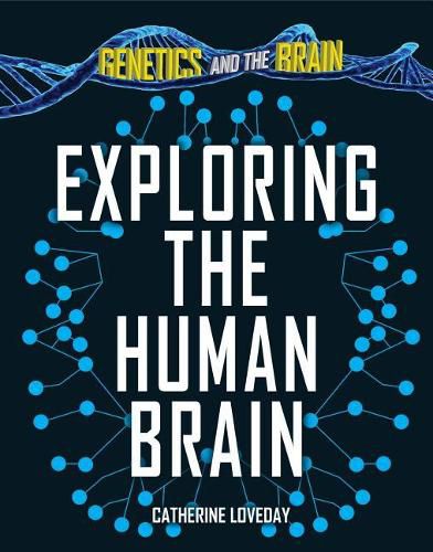 Cover image for Exploring the Human Brain