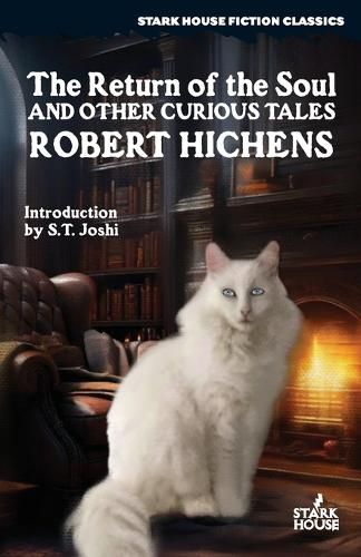 Cover image for The Return of the Soul & Other Curious Tales