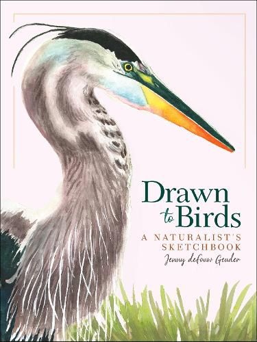 Cover image for Drawn to Birds: A Naturalist's Sketchbook