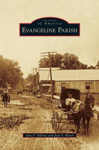 Cover image for Evangeline Parish