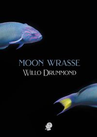 Cover image for Moon Wrasse