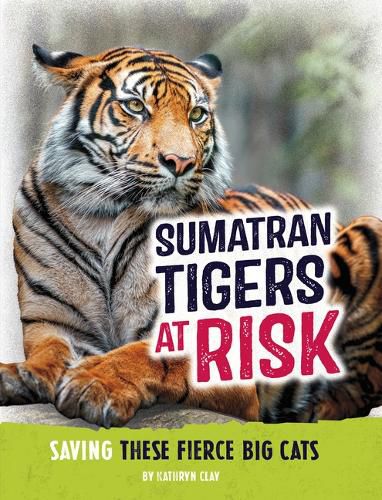 Cover image for Sumatran Tigers at Risk