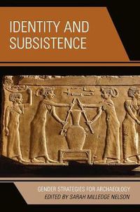 Cover image for Identity and Subsistence: Gender Strategies for Archaeology