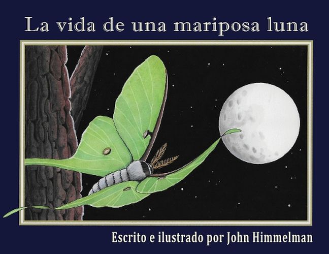 Cover image for La vida de una mariposa luna