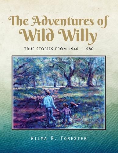 Cover image for The Adventures of Wild Willy