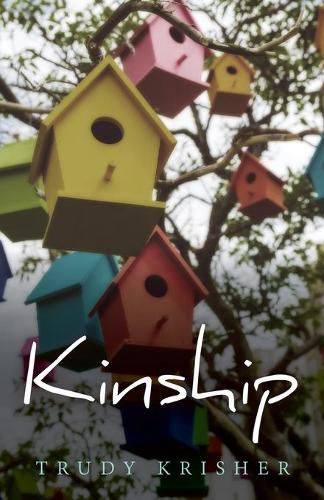 Cover image for Kinship