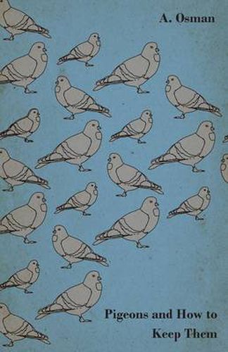 Cover image for Pigeons And How To Keep Them