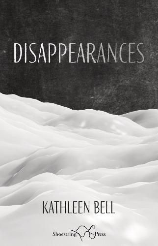 Cover image for Disappearances