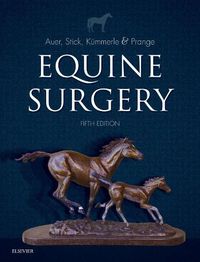 Cover image for Equine Surgery