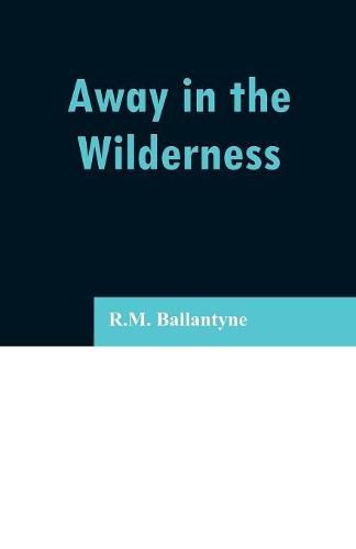 Cover image for Away in the Wilderness