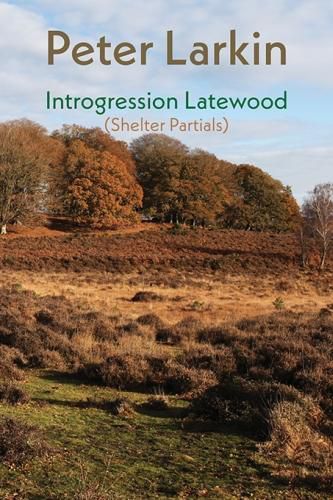 Introgression Latewood: Shelter Partials