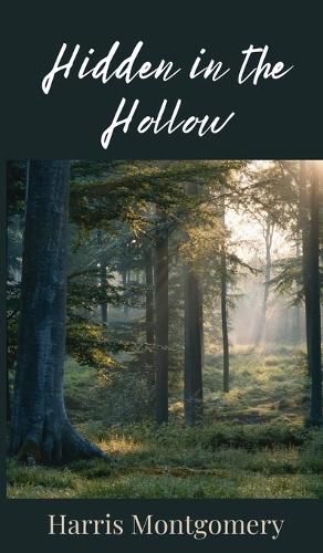 Cover image for Hidden in the Hollow