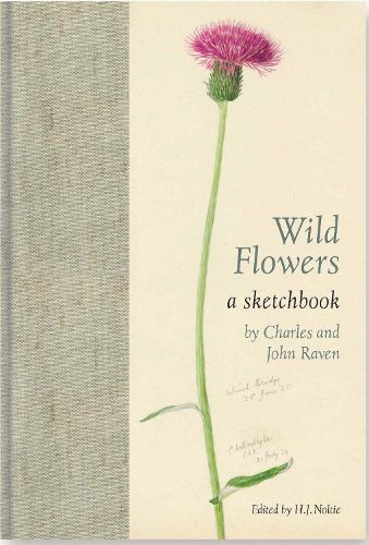 Cover image for Wild Flowers