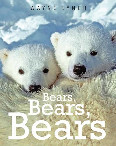 Cover image for Bears, Bears, Bears