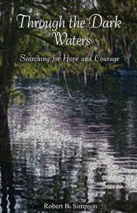 Cover image for Through the Dark Waters