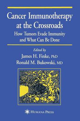 Cancer Immunotherapy at the Crossroads: How Tumors Evade Immunity and What Can Be Done