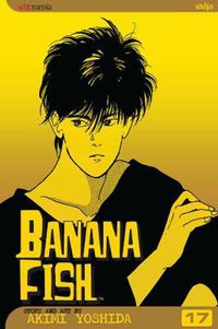 Cover image for Banana Fish, Vol. 17