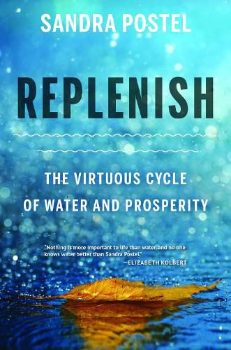 Cover image for Replenish: The Virtuous Cycle of Water and Prosperity