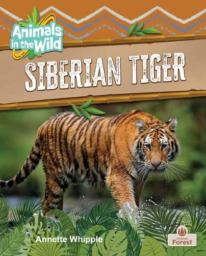 Cover image for Siberian Tiger