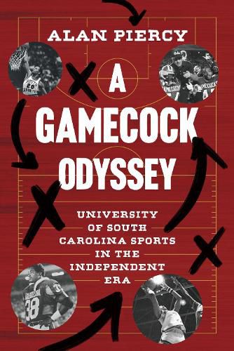 Cover image for A Gamecock Odyssey