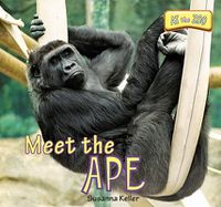 Cover image for Meet the Ape