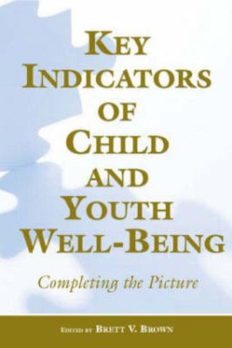 Cover image for Key Indicators of Child and Youth Well-Being: Completing the Picture