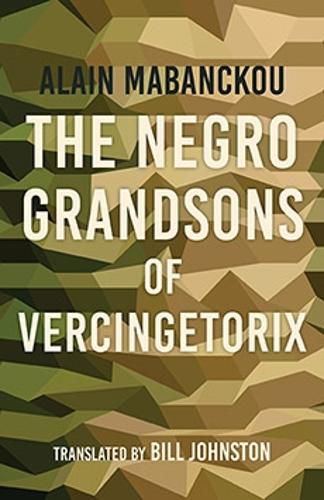Cover image for The Negro Grandsons of Vercingetorix
