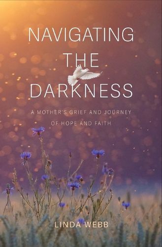 Cover image for Navigating the Darkness