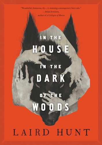 Cover image for In the House in the Dark of the Woods