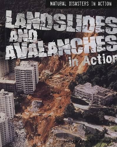Cover image for Landslides and Avalanches in Action