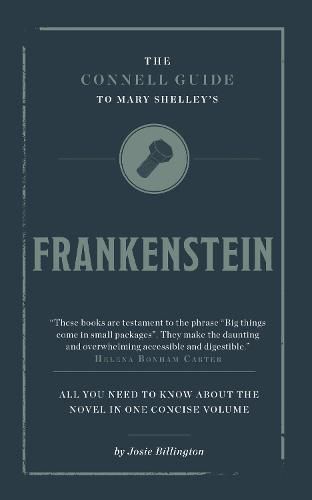 Cover image for The Connell Guide To Mary Shelley's Frankenstein