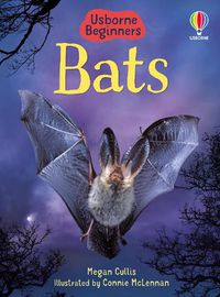 Cover image for Bats