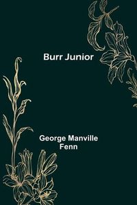 Cover image for Burr Junior