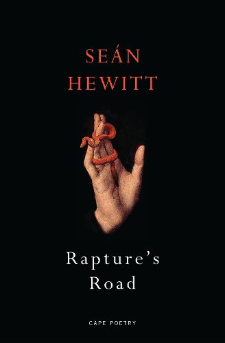 Cover image for Rapture's Road