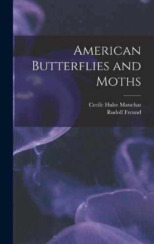 Cover image for American Butterflies and Moths