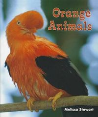 Cover image for Orange Animals